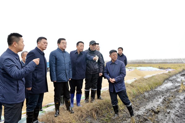 太平川镇最新项目，地区发展的强大引擎驱动力