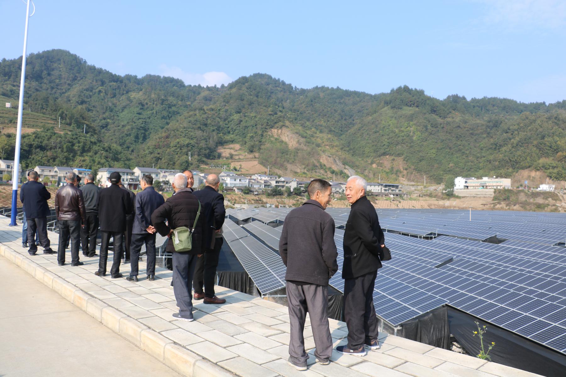 深河乡新项目启动，引领乡村发展新篇章