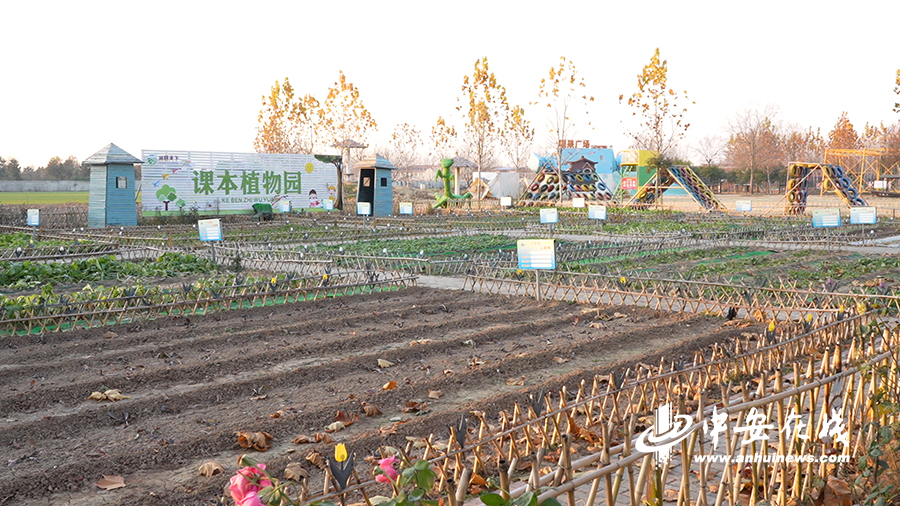 江川农场最新交通动态报道